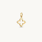 Fortuna Charm