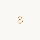 Lucky Charm