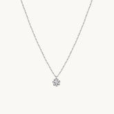 Daisy Choker