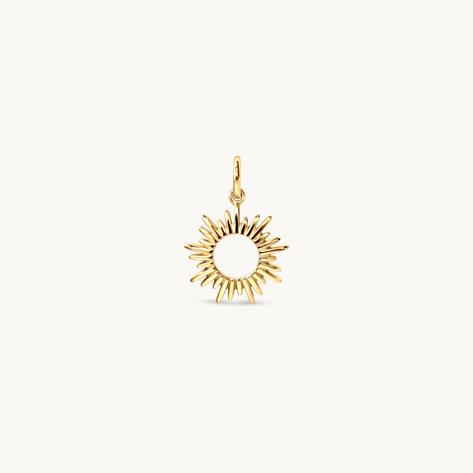 Sole Charm