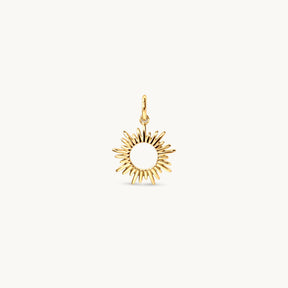 Sole Charm